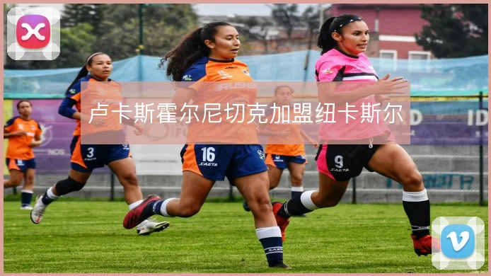 卢卡斯霍尔尼切克加盟纽卡斯尔