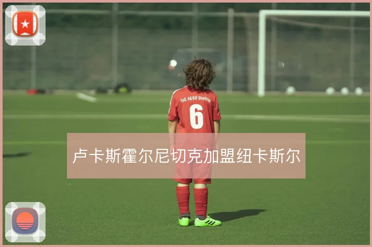 卢卡斯霍尔尼切克加盟纽卡斯尔